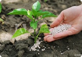 Fertilizer